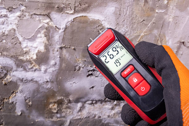 Best Mold Damage Repair  in University Of Virginia, VA