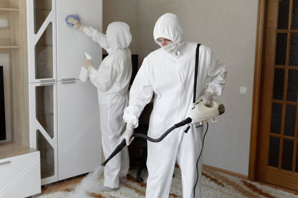 Best Commercial Mold Removal  in University Of Virginia, VA
